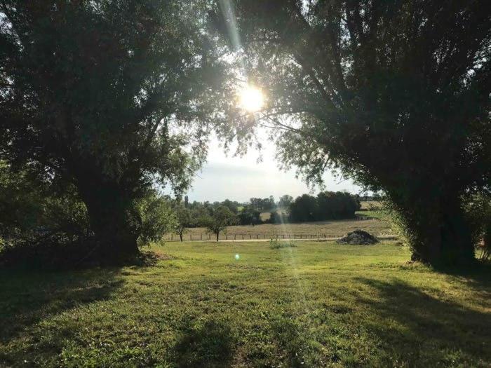 La Grange A Outeaux Bed and Breakfast Montpont-en-Bresse Εξωτερικό φωτογραφία